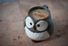 Anthropologie Owl Tea Set