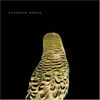 Andrew Bird 'Armchair Apocrypha' (CD)