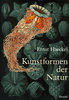 Ernst Haeckel "Kunstformen der nature"