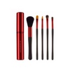 Japonesque Touch up Tube set