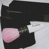 Meteorites brush