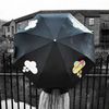 зонт с картинками, которые меняют цвет при дожде