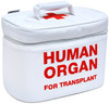 Organ Transport Lunch Cooler