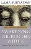 Lama Surya Das "Awakening Trilogy"