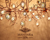 Массаж в Mandara SPA (Lotte Plaza)