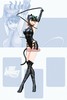 Ame-Comi Catwoman [Figure] by DC Direct