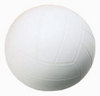 волейбольный  мяч