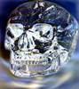 To see Crystal skull