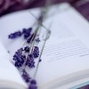 Прочитать 100 лучших книг мира