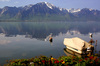 Посидеть с удочкой на берегу Женевского озера