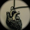 Black Heart Anatomical Heart Jet
