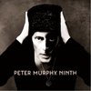 Peter Murphy "Ninth"