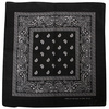 Bandana Paisley