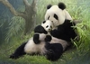 пазл Panda