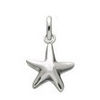 silver star charm
