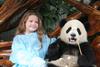 Побывать  в китайском центре разведения панд в Чэнду, провинция Сычуань и подержать панду!