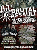 Brutal Assault 2011