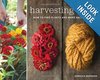 Harvesting Color: How to Find Plants and Make Natural Dyes  by Rebecca Burgess