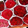 columbia rd flower market