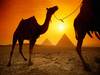Египет - родина самой древней и развитой цивилизации