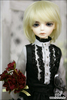 Luts KDF Lime