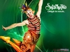 Saltimbanco Cirque Du Soleil