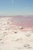 pink salt lake