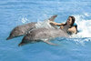 Поплавать с дельфинами