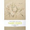 Narcisses [Broch&#233;]