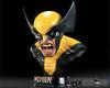 Wolverine Life-Size Bust