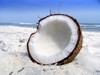 Coconut