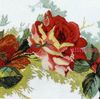 34875 Цветущая роза Lanarte