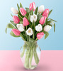 розовых и белых тюльпанов
