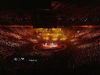 посетить боксерский поединок проходящий в Madison Square Garden
