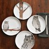 Owl Plates