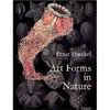 Art Forms in Nature: The Prints of Ernst Haeckel (Monographs)