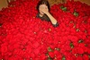 One million scarlet roses