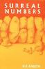 Donald Knuth "Surreal Numbers: How Two Ex-Students Turned on to Pure Mathematics and Found Total Happiness"