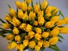 Букетик жёлтый тюльпанов