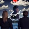 новый альбом Би-2 Spirit