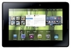 Blackberry Playbook