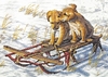 Sled Dogs