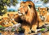 пазл Family Of Lions