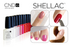 shellac