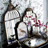 Birdcage mirror