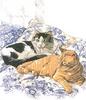 Кошки на одеяле