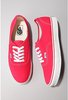 Vans Authentic Sneaker