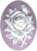 Rose on Lilac