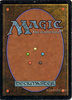 Magic The Gathering