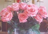 Букет больших красивых роз!